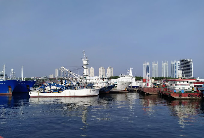 Gaji PT Perikanan Indonesia Terbaru