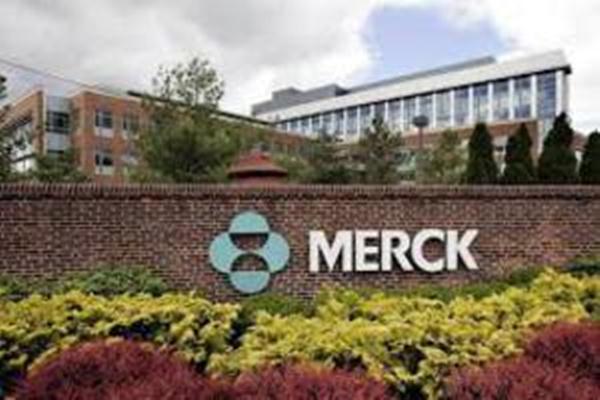 Gaji PT Merck Sharp Dohme Pharma Tbk Terbaru