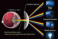 Pengertian dan Fungsi Optical penting terbaru