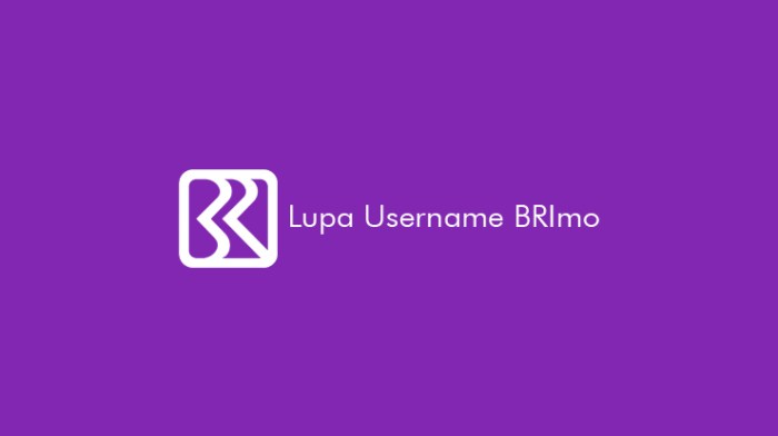 Lupa Username BRImo