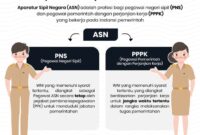 pns asn pppk perbedaan apa fungsi tugas benefit hari