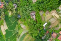 membangun bisnis kecil di desa
