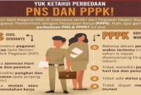 Perbedaan tugas PPPK dan PNS