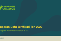 sertifikasi analis data untuk pemula terbaru