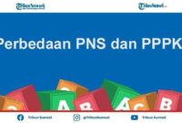 Perbedaan tugas PPPK dan PNS