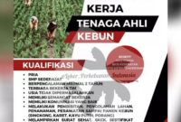Gaji Karyawan CV Harapan Cahaya Sukses
