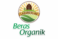 Gaji PT Hassana Boga Sejahtera Tbk