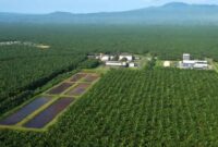 Gaji PT Sriwijaya Palm Oil Group