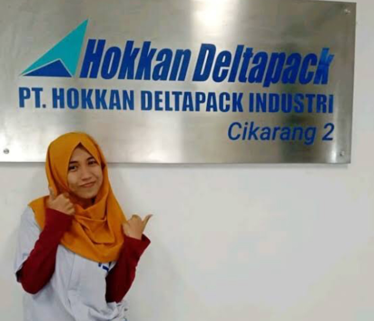 Gaji Pt Hokkan Deltapack Industri - Homecare24 Gaji PT Deltapack Industri