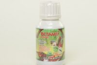 Gaji PT Betamix