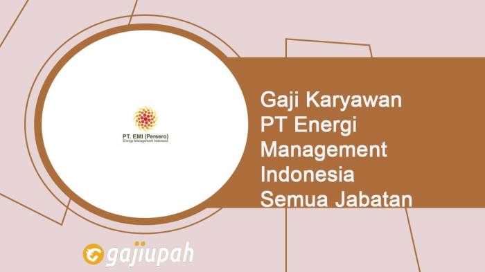 Gaji PT Data Energy Infomedia