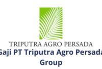 Gaji PT Agrindo Indah Persada