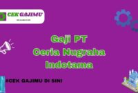 Gaji PT Pasifiktel Indotama