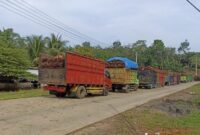 Gaji PT Sawit Mulia Bengkulu