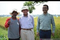 Gaji PT East West Seed Indonesia