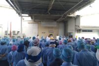 Gaji PT Marsol Abadi Indonesia