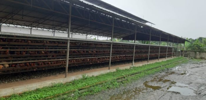 Kalahkan Pendapatan PNS! Gaji PPPK Capai 6 Juta, Ini Dia Daftar Gaji ... Gaji PT Pakuan