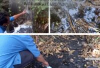 Gaji PT Daya Pratama Lestari