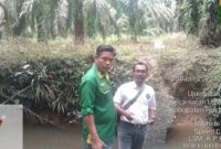Gaji PT Rohul Sawit Industri