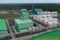 Gaji PT Citra Borneo Indah