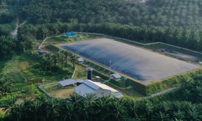 PT. Eagle High Plantations Tbk Menguasai Lahan Kelapa Sawit Seluas 101. ... Gaji PT Eagle High Plantations