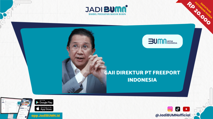 Gaji Direktur PT Freeport Indonesia - Gaji Fantastis! Segini Gaji Gaji PT Nagai Plastik Indonesia