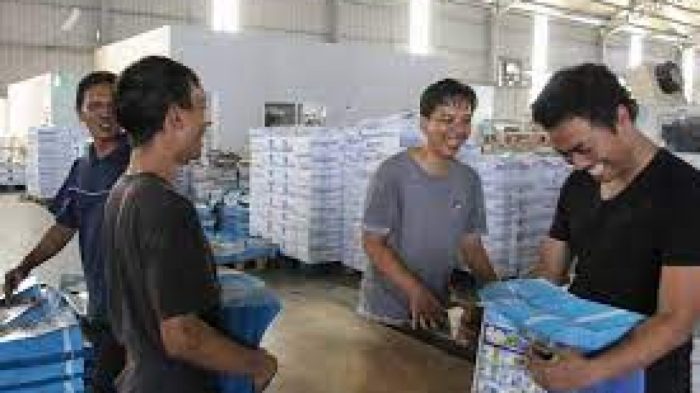 Gaji PT Glory Demak