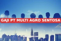 GAJI PT MULTI AGRO SENTOSA