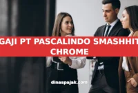 GAJI PT PASCALINDO SMASHHIT CHROME