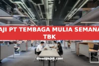GAJI PT TEMBAGA MULIA SEMANAN TBK