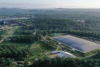 Gaji PT Eagle High Plantations Tbk