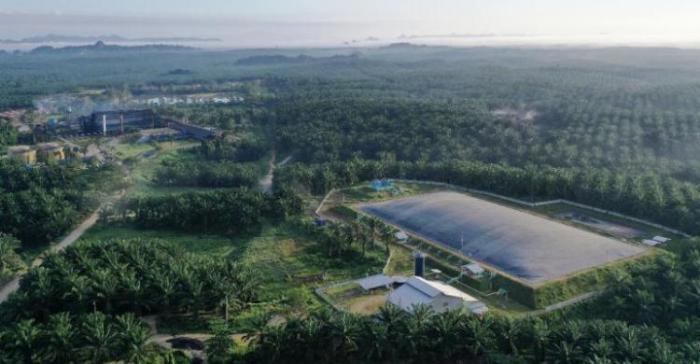 Gaji PT Eagle High Plantations Tbk