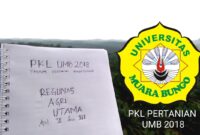 Gaji PT Rigunas Agri Utama