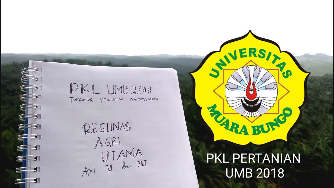 10+ Info Gaji di PT Austindo Nusantara Jaya Agri (ANJ Agri) (Semua Posisi) Gaji PT Rigunas Agri Utama