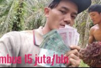 Gaji PT Indomakmur Sawit Berjaya