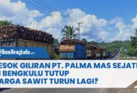Gaji PT Palma Mas Sejati