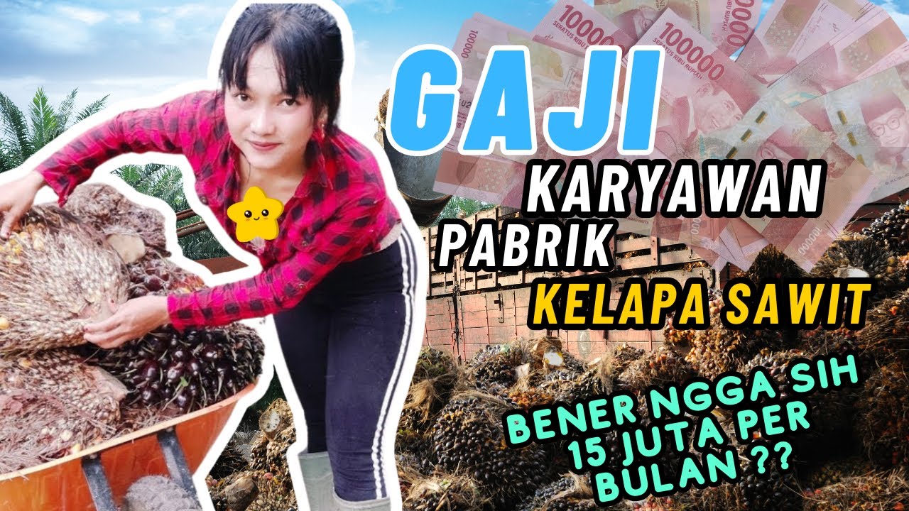 30+ Info Gaji di PT Gajah Tunggal Tbk (Semua Posisi) Gaji PT Gajah Sawit Sakti