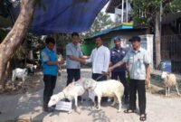 Gaji PT Usra Tampi Indonesia
