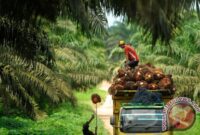 Gaji PT Agro Muko Bunga Tanjung Po Mill